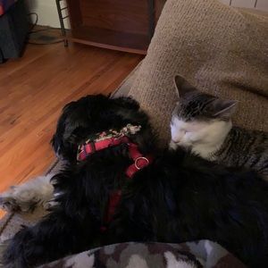 Meet your Posher, Chloe